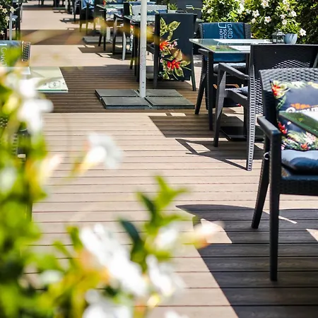 Hotel Focus Premium
